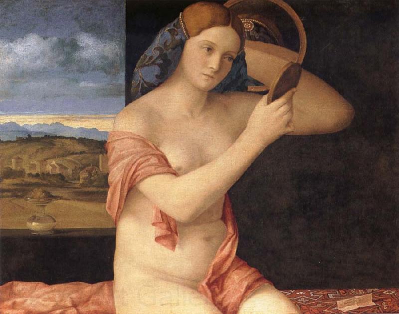 Giovanni Bellini Young woman at her toilet Norge oil painting art